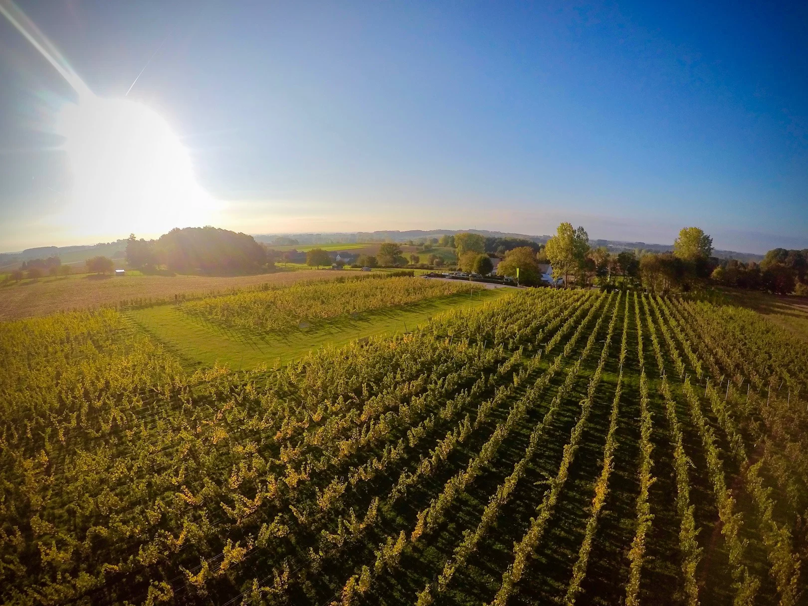 Wijndomein Dappersveld-Woestijn